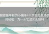 解密最年轻的小峓子4中字巴巴鱼汤饭的秘密：为什么它是如此独特
