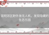 昆明郊区野外放无人机，发现隐藏的生态乐园