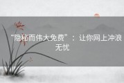 “隐秘而伟大免费”：让你网上冲浪无忧