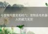 与宠物共度无毛时光：宠物去毛机器人的威力无穷