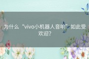 为什么“vivo小机器人音响”如此受欢迎？