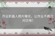 作业机器人照片曝光，让作业不再沉闷乏味！