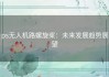 ps无人机路螺旋桨：未来发展趋势展望