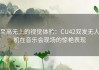 至高无上的视觉体验：CU42双发无人机在音乐会现场的惊艳表现