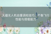 大疆无人机自重调校技巧：平衡飞行性能与搭载能力