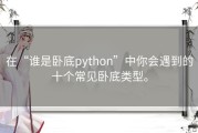 在“谁是卧底python”中你会遇到的十个常见卧底类型。