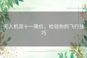 无人机双十一降价，检验你的飞行技巧