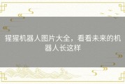 猩猩机器人图片大全，看看未来的机器人长这样