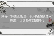 揭秘“韩国正能量不良网站直接进入”应用：让您畅享网络时代