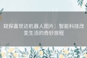 窥探嘉世达机器人图片：智能科技改变生活的奇妙旅程