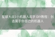 星球大战1小机器人名字 DIY教程：创造属于你自己的机器人