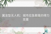 翼龙型无人机：城市应急救援的得力支援