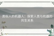 类似人的机器人：探索人类与机器的共生关系