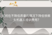 如何在不降低质量的情况下降低铁榔头机器人培训费用？