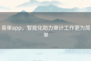 易审app，智能化助力审计工作更为简单