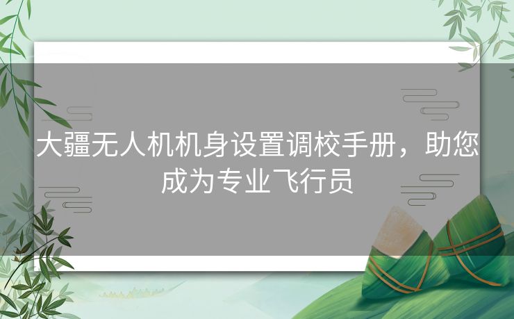 大疆无人机机身设置调校手册，助您成为专业飞行员