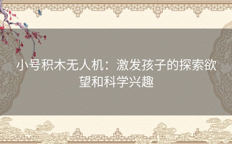 小号积木无人机：激发孩子的探索欲望和科学兴趣
