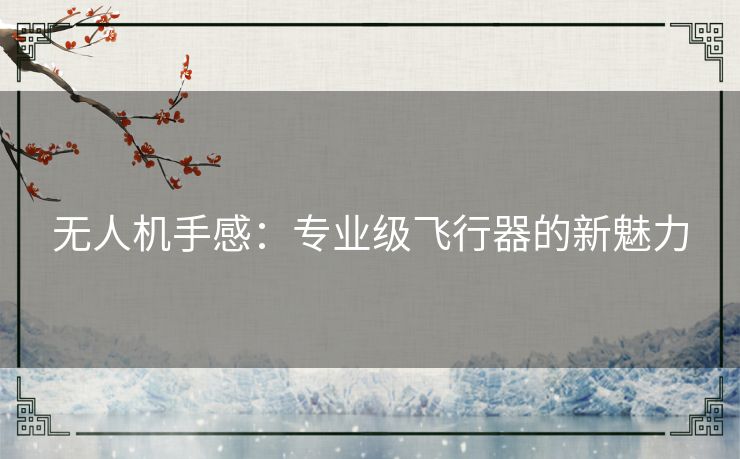 无人机手感：专业级飞行器的新魅力