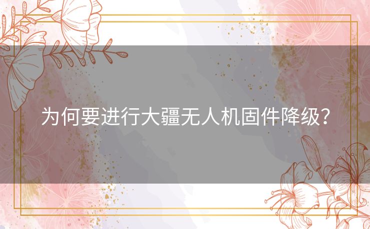为何要进行大疆无人机固件降级？