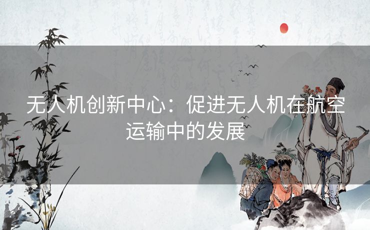 无人机创新中心：促进无人机在航空运输中的发展