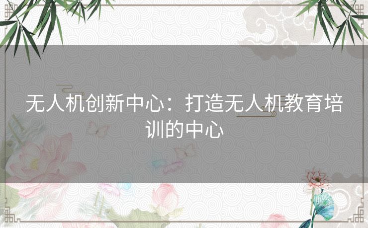 无人机创新中心：打造无人机教育培训的中心