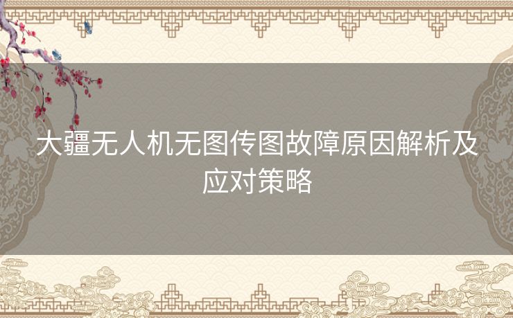 大疆无人机无图传图故障原因解析及应对策略