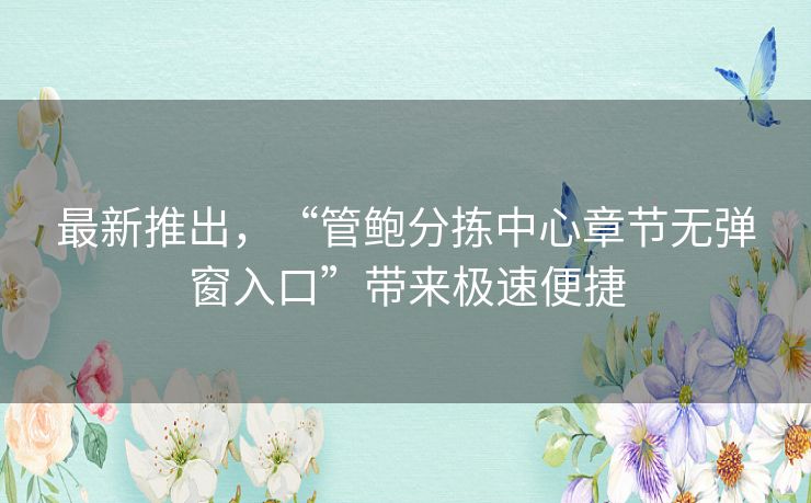 最新推出，“管鲍分拣中心章节无弹窗入口”带来极速便捷