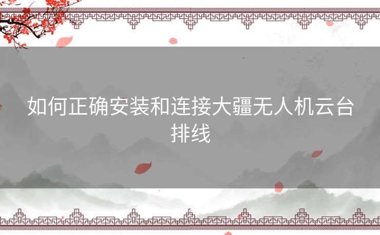 如何正确安装和连接大疆无人机云台排线