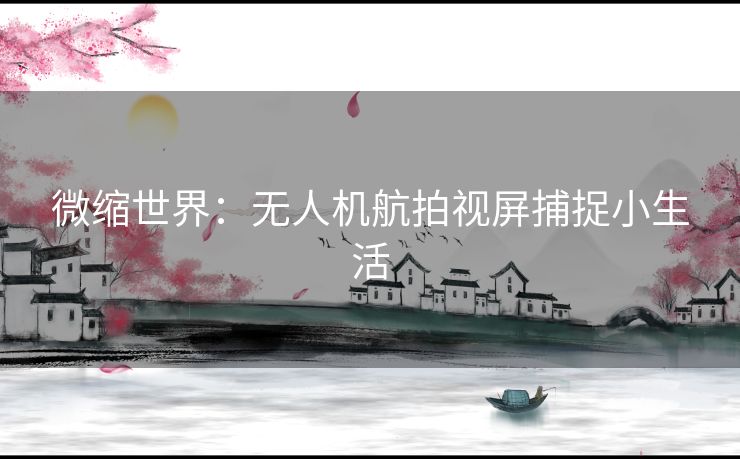 微缩世界：无人机航拍视屏捕捉小生活