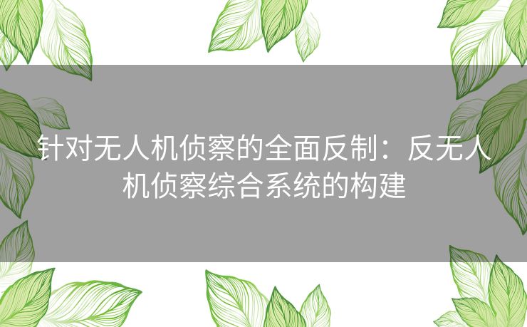 针对无人机侦察的全面反制：反无人机侦察综合系统的构建