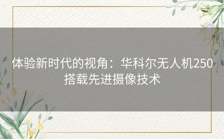 体验新时代的视角：华科尔无人机250搭载先进摄像技术