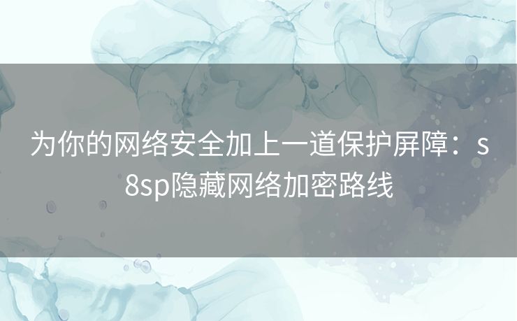 为你的网络安全加上一道保护屏障：s8sp隐藏网络加密路线