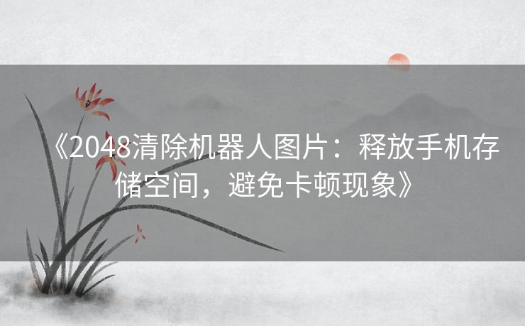 《2048清除机器人图片：释放手机存储空间，避免卡顿现象》