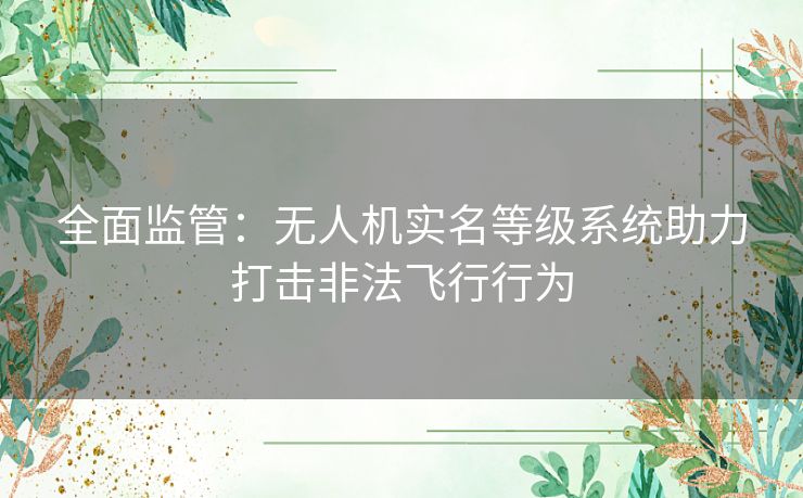 全面监管：无人机实名等级系统助力打击非法飞行行为