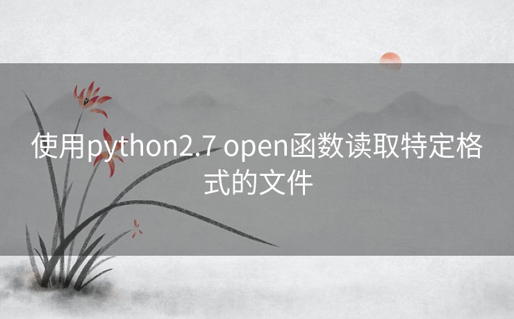 使用python2.7 open函数读取特定格式的文件