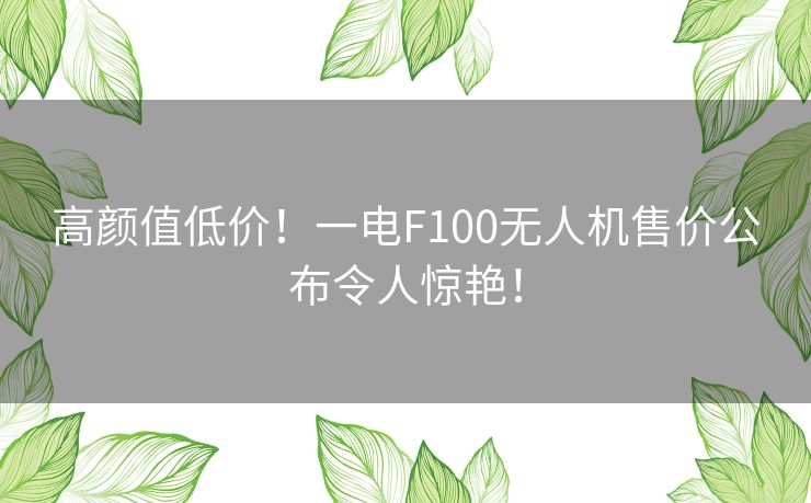 高颜值低价！一电F100无人机售价公布令人惊艳！