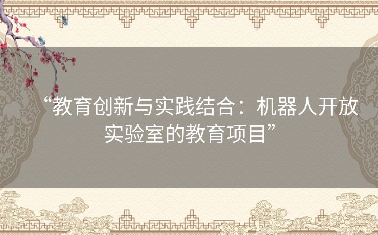 “教育创新与实践结合：机器人开放实验室的教育项目”