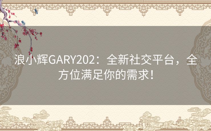 浪小辉GARY202：全新社交平台，全方位满足你的需求！