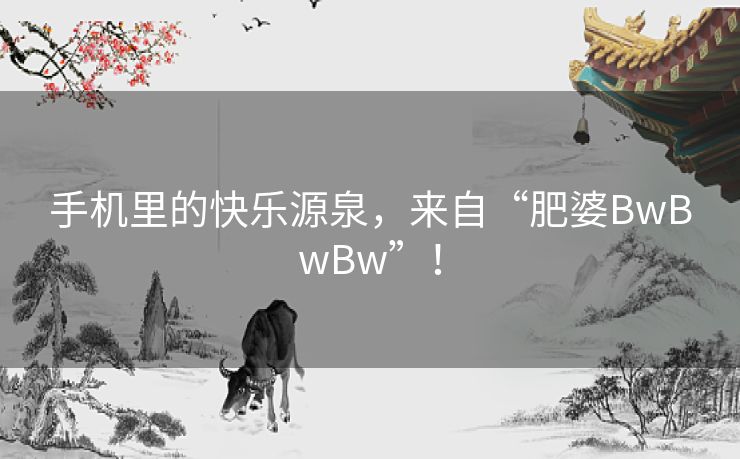 手机里的快乐源泉，来自“肥婆BwBwBw”！