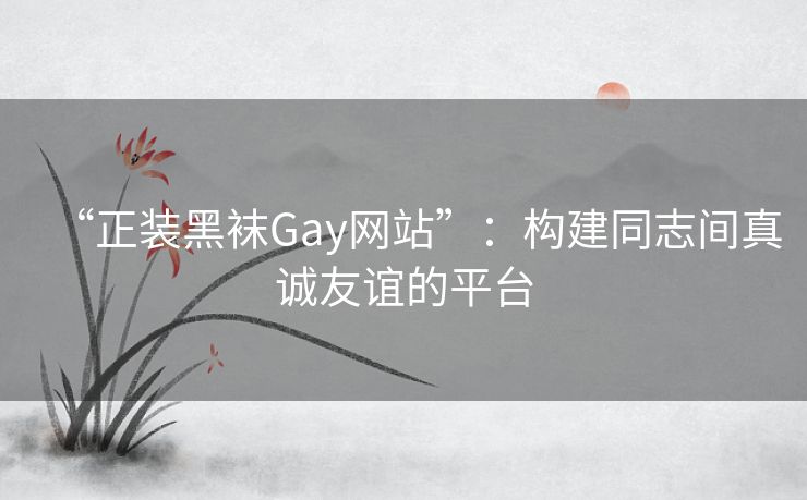 “正装黑袜Gay网站”：构建同志间真诚友谊的平台