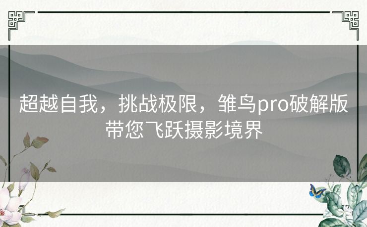 超越自我，挑战极限，雏鸟pro破解版带您飞跃摄影境界