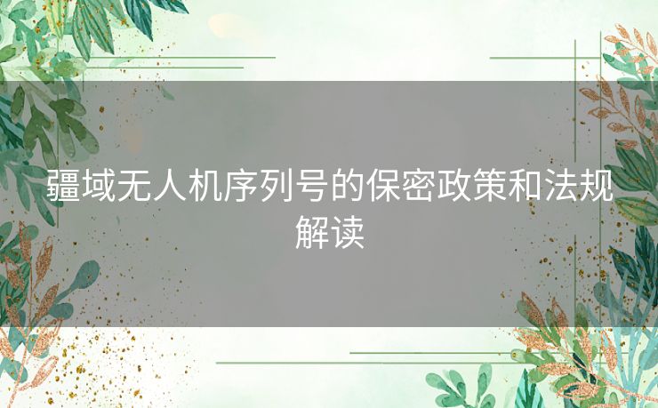 疆域无人机序列号的保密政策和法规解读