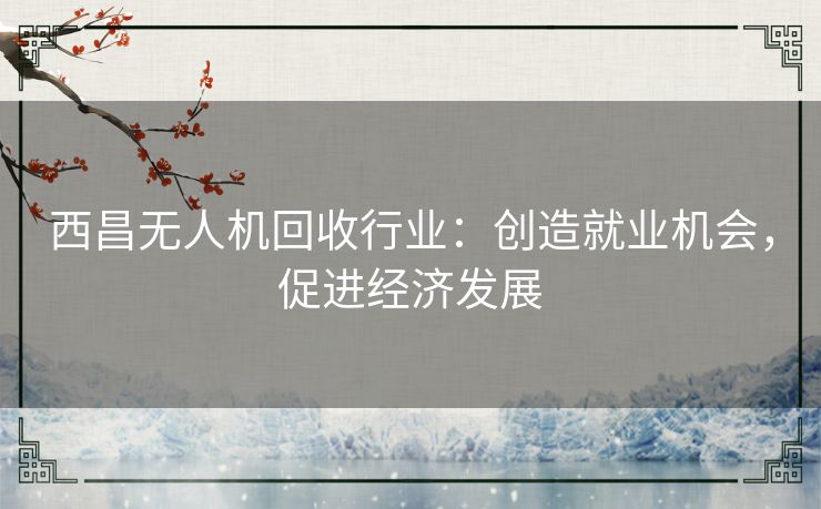 西昌无人机回收行业：创造就业机会，促进经济发展