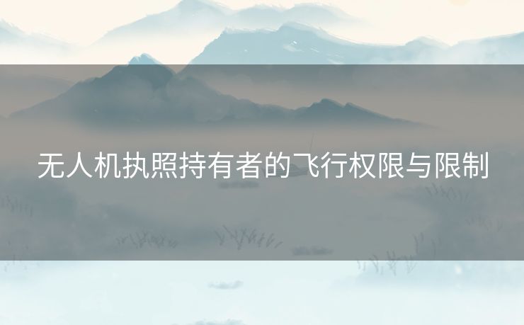 无人机执照持有者的飞行权限与限制