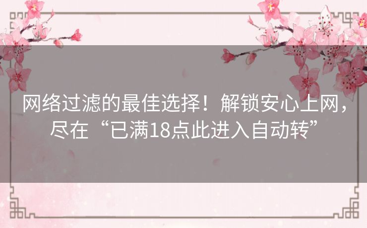 网络过滤的最佳选择！解锁安心上网，尽在“已满18点此进入自动转”