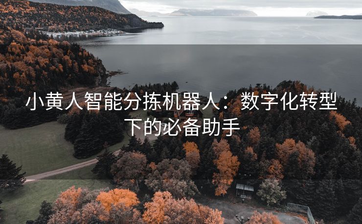 小黄人智能分拣机器人：数字化转型下的必备助手