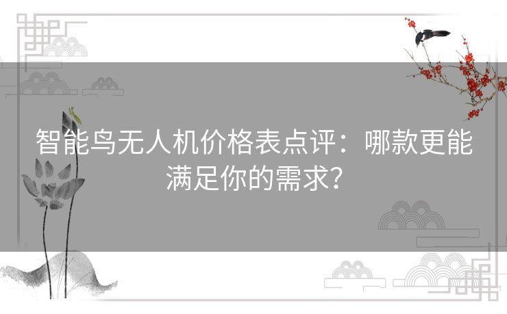 智能鸟无人机价格表点评：哪款更能满足你的需求？