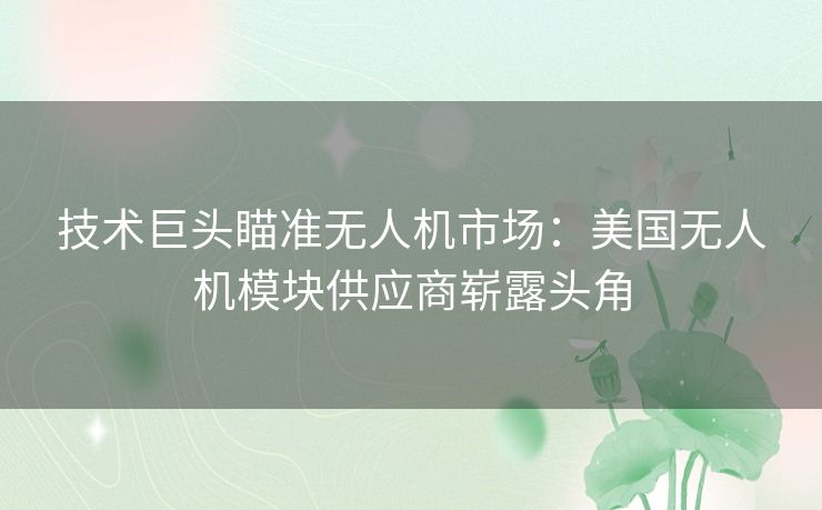 技术巨头瞄准无人机市场：美国无人机模块供应商崭露头角