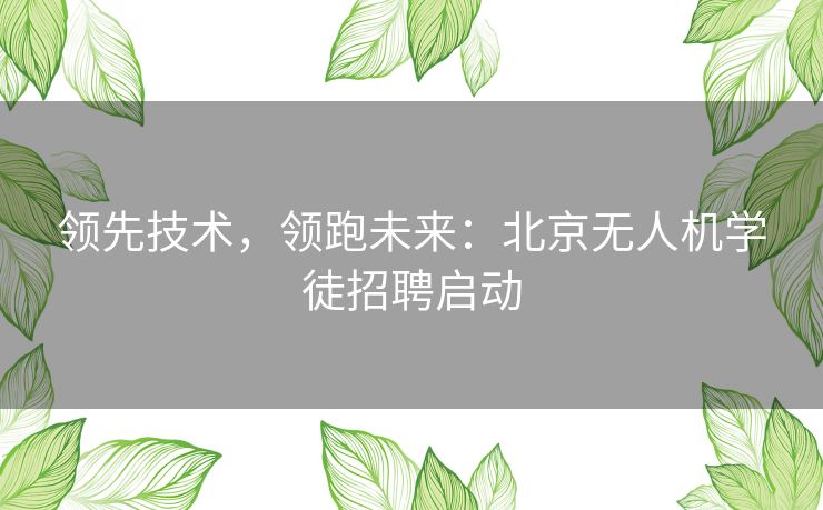 领先技术，领跑未来：北京无人机学徒招聘启动