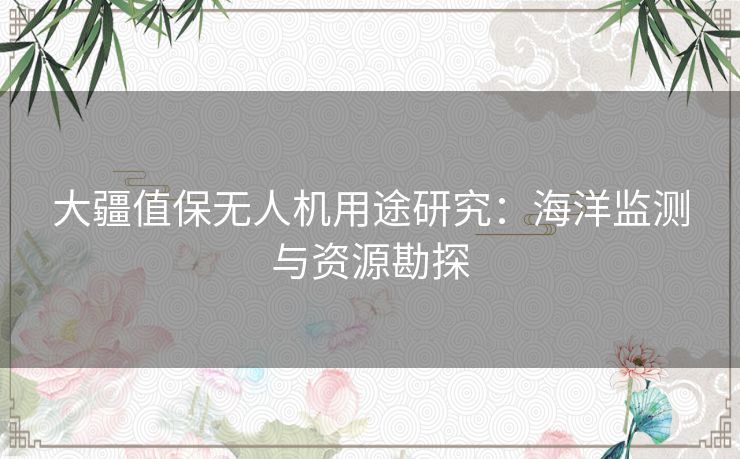 大疆值保无人机用途研究：海洋监测与资源勘探